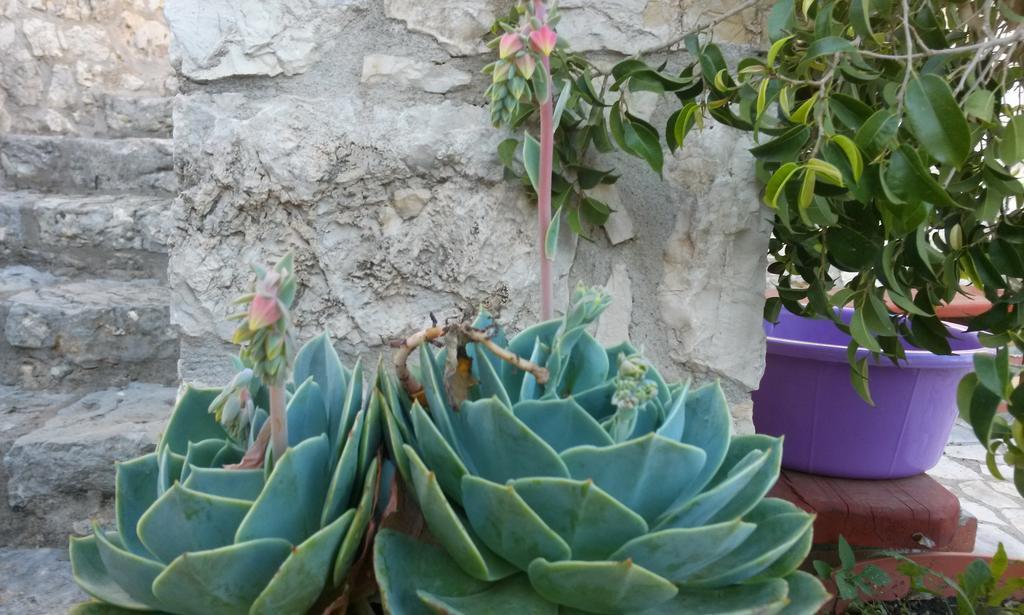 Apartmán Porto Poros Mikros Gialos Exteriér fotografie
